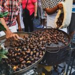 Collecting fallen chestnuts in a woven basket in Tuscany